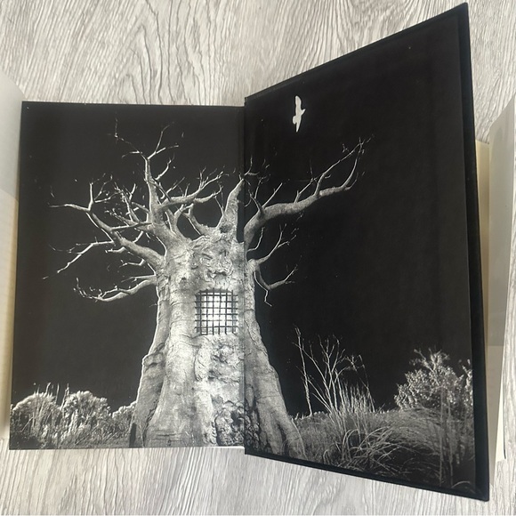 Stephen King Salem's Lot Illustrated Edition HC DJ 1st Edition/ 1st Print HTF - Picture 4 of 8